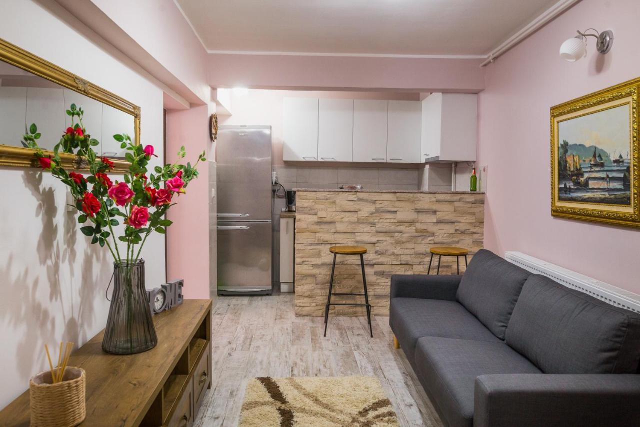 Alpin Central Studio Apartamento Braşov Exterior foto