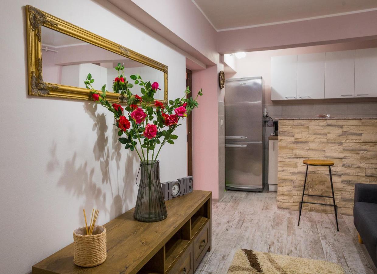 Alpin Central Studio Apartamento Braşov Exterior foto