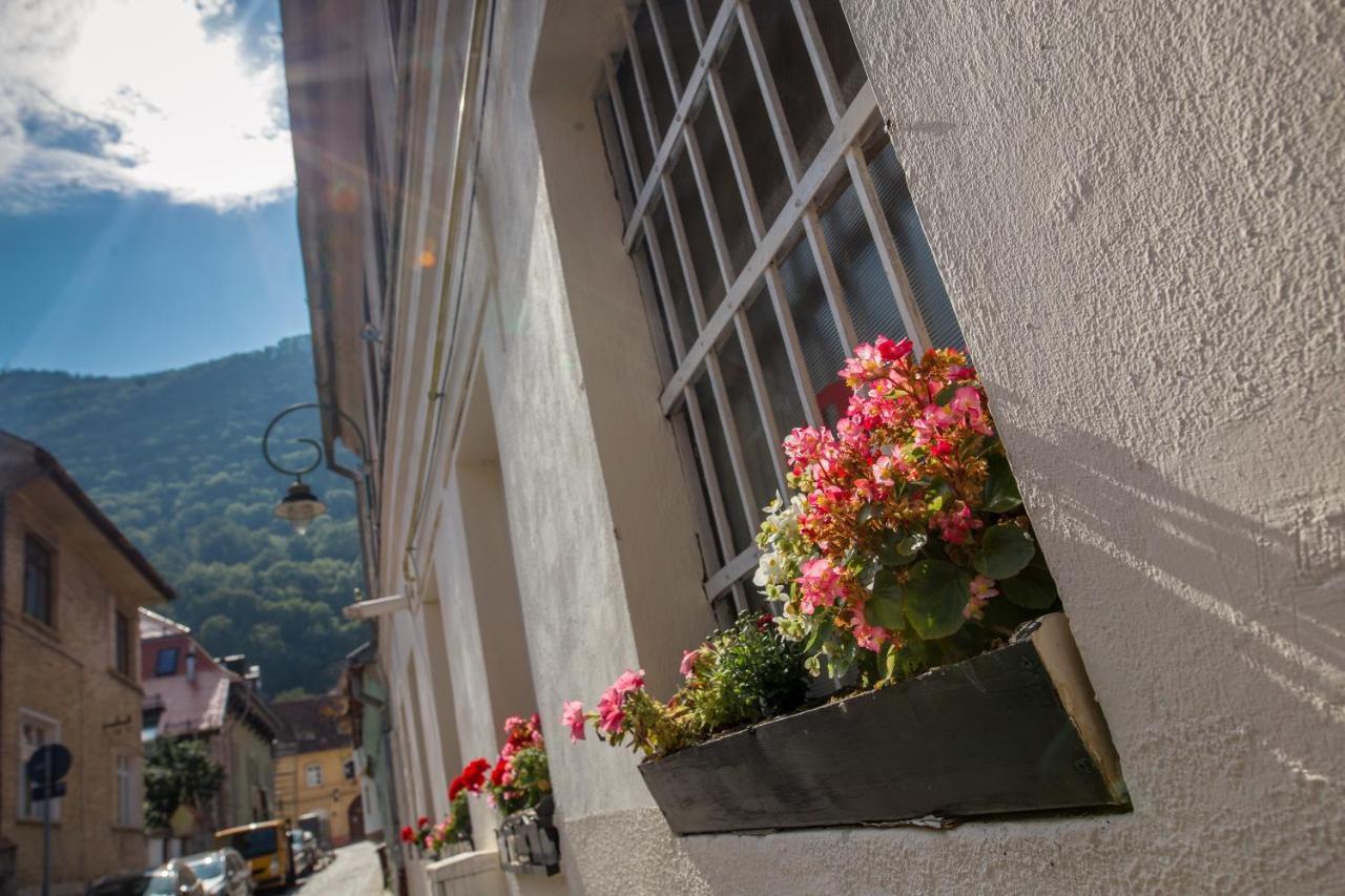 Alpin Central Studio Apartamento Braşov Exterior foto
